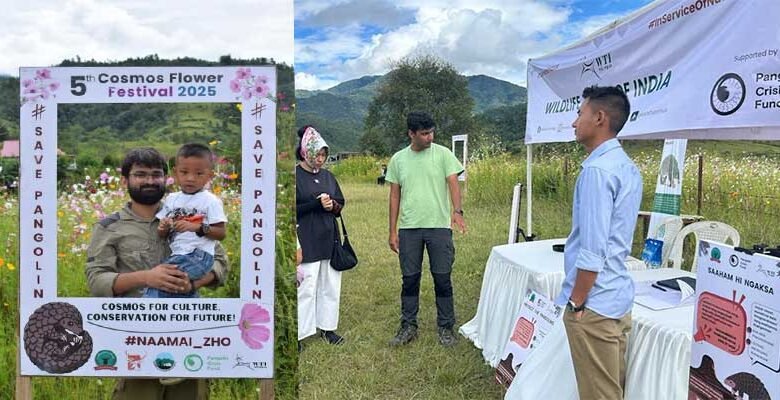 Manipur: WTI Joins Cosmos Flower Festival, Champions Pangolin Conservation