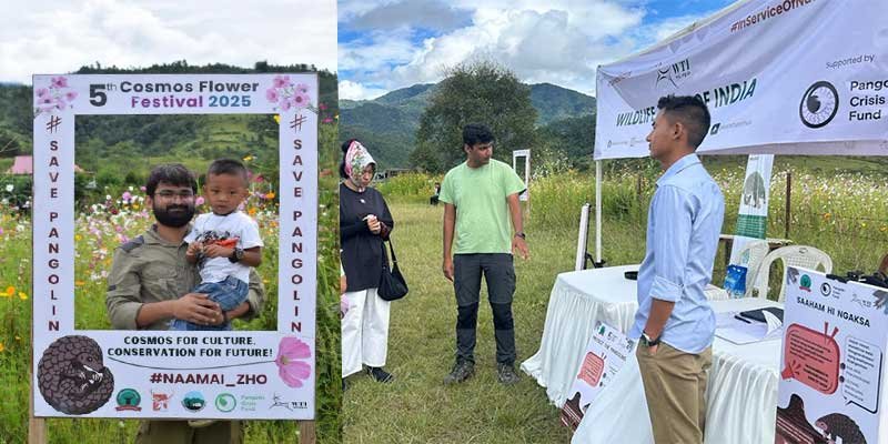 Manipur: WTI Joins Cosmos Flower Festival, Champions Pangolin Conservation