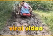 Viral Video : Woman in Labor Carried on Cart in UP's Hamirpur
