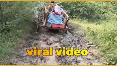 Viral Video : Woman in Labor Carried on Cart in UP's Hamirpur