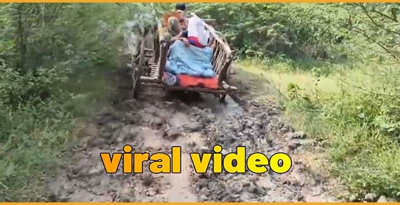 Viral Video : Woman in Labor Carried on Cart in UP's Hamirpur
