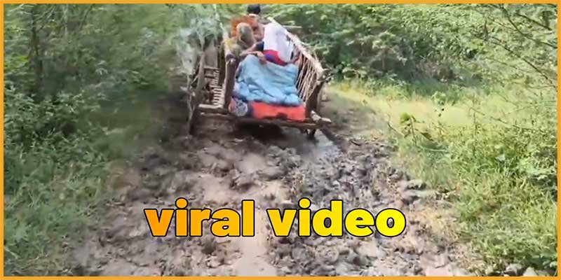 Viral Video : Woman in Labor Carried on Cart in UP's Hamirpur