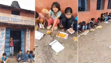 Viral Video: Outrage Erupts Over Madhya Pradesh School Serving Mid-Day Meals on Scrap Paper