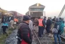 Assam:  Seven Elephants Killed as Sairang-New Delhi Rajdhani Express Derails in