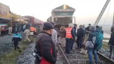 Assam:  Seven Elephants Killed as Sairang-New Delhi Rajdhani Express Derails in