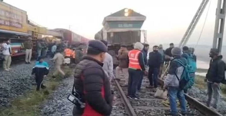 Assam:  Seven Elephants Killed as Sairang-New Delhi Rajdhani Express Derails in