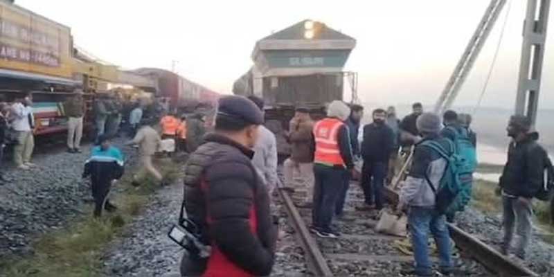 Assam:  Seven Elephants Killed as Sairang-New Delhi Rajdhani Express Derails in