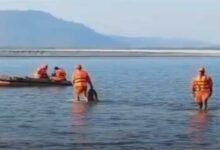 Assam: Search on for 5 youths swept away in Brahmaputra
