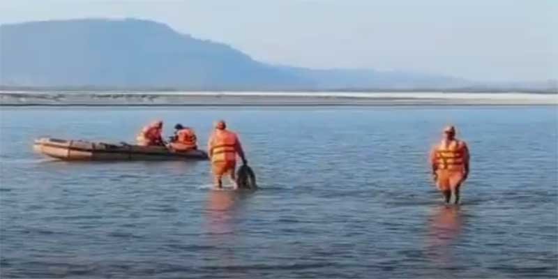Assam: Search on for 5 youths swept away in Brahmaputra