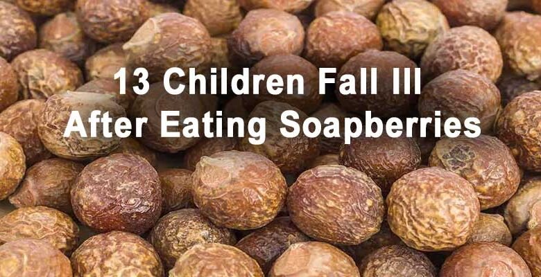 Assam: 13 Children Fall Ill After Eating Soapberries
