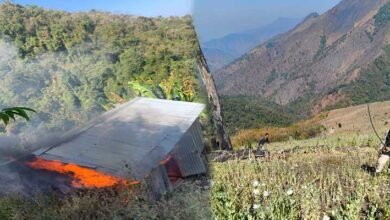 Manipur: 22 Acres of Poppy Cultivation Destroyed in Kangpokpi