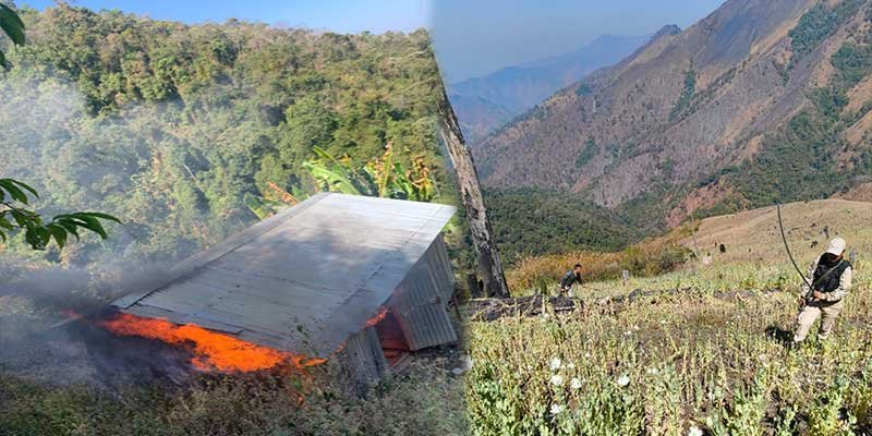 Manipur: 22 Acres of Poppy Cultivation Destroyed in Kangpokpi