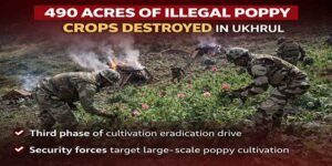 Manipur; Ukhrul Police Destroy Over 490 Acres of Poppy Crops