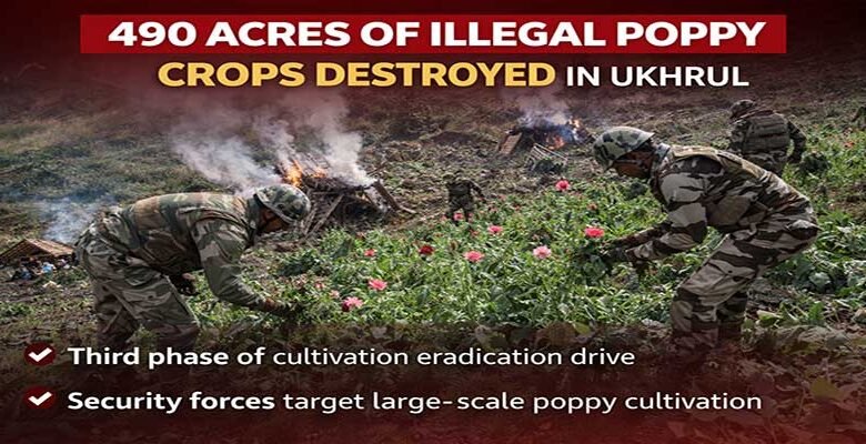 Manipur; Ukhrul Police Destroy Over 490 Acres of Poppy Crops