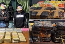 Drugs Worth ₹36 Crore Seized in Mizoram