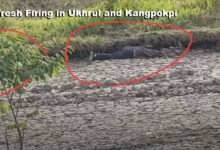 Manipur: Fresh Firing in Ukhrul and Kangpokpi Leave Two Civilians Critical