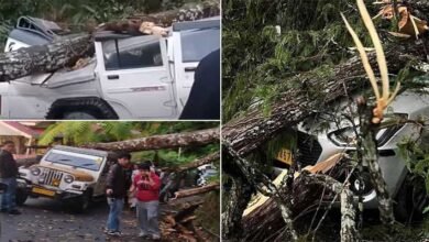 Storm, Rainfall, Hailstorm Disrupt Life in Parts of Sikkim; One Dead, Three Injured