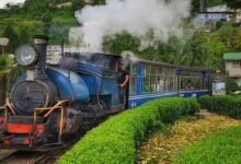 Darjeeling Toy Train Crosses Rs 25 Crore Revenue Mark