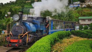 Darjeeling Toy Train Crosses Rs 25 Crore Revenue Mark