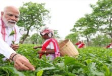 Assam Election: PM Modi Visits Tea Garden, Plucks Leaves