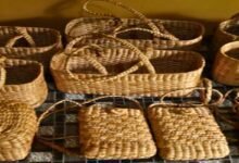 Assam Women Turn Water Hyacinth into Sustainable Livelihood