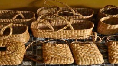 Assam Women Turn Water Hyacinth into Sustainable Livelihood