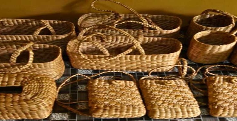 Assam Women Turn Water Hyacinth into Sustainable Livelihood