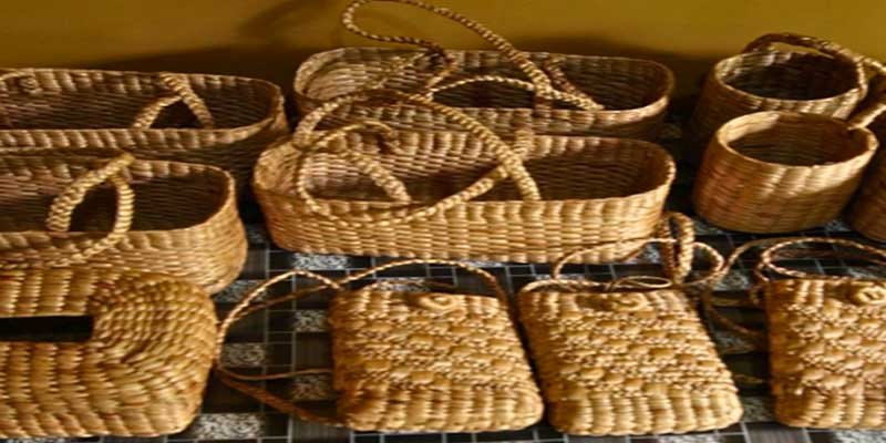 Assam Women Turn Water Hyacinth into Sustainable Livelihood