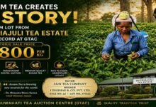 Assam: Deckiajuli Tea Estate Achieves Record ₹800/kg Price at Guwahati Auction