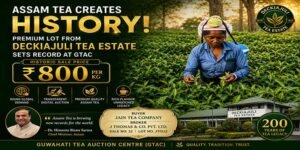 Assam: Deckiajuli Tea Estate Achieves Record ₹800/kg Price at Guwahati Auction