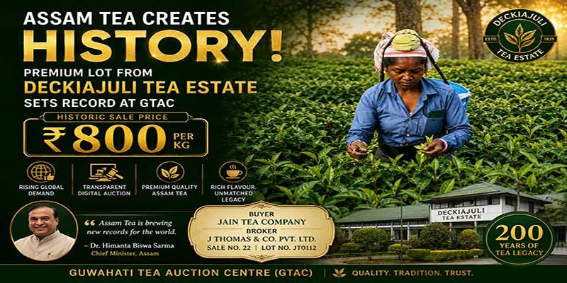 Assam: Deckiajuli Tea Estate Achieves Record ₹800/kg Price at Guwahati Auction