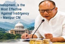 Development Is the Most Effective Tool Against Insurgency: Manipur CM Tells NITI Aayog