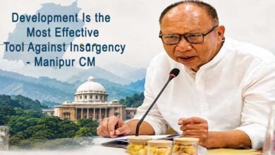 Development Is the Most Effective Tool Against Insurgency: Manipur CM Tells NITI Aayog