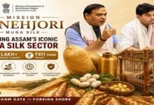 Mission Senehjori Seeks to Take Assam’s Muga Silk from Farm Gate to Global Markets