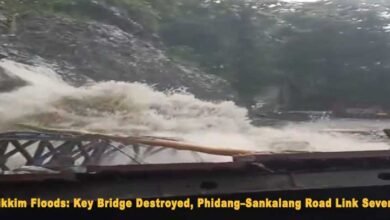 Sikkim Floods: Key Bridge Destroyed, Phidang–Sankalang Road Link Severed