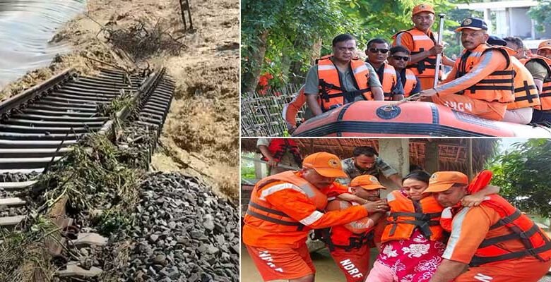 Assam Floods Affect Over 5.64 Lakh People; Death Toll Rises to 31