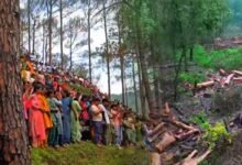 Protests Erupt in Rishikesh Over Proposed Felling of Thousands of Trees for Highway Project