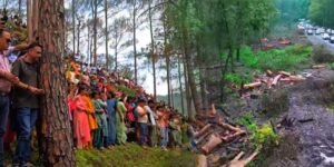 Protests Erupt in Rishikesh Over Proposed Felling of Thousands of Trees for Highway Project