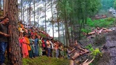 Protests Erupt in Rishikesh Over Proposed Felling of Thousands of Trees for Highway Project