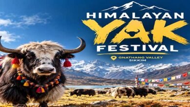 Sikkim to Host First Himalayan Yak Festival in Gnathang Valley in October