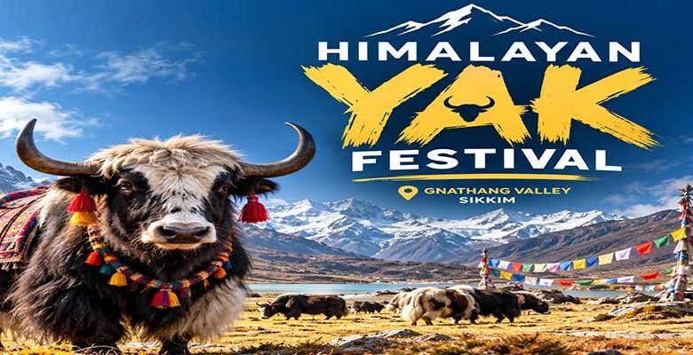 Sikkim to Host First Himalayan Yak Festival in Gnathang Valley in October